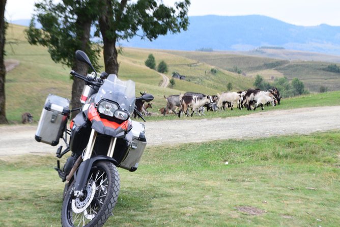 7 Day Best of Transylvania Motorcycle Tour from Cluj - Should you book the Best of Transylvania Motorcycle Tour from Cluj?