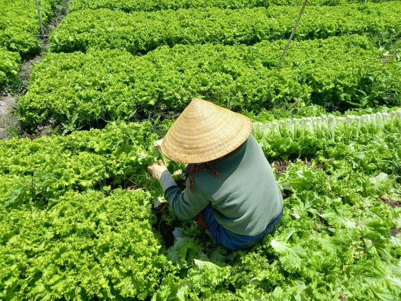 Dalat Countryside Motorbike Day Tour–Coffee Farms & Pagodas - Elephant Waterfall: what happens when the big sight is closed