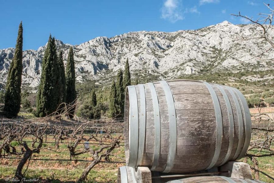 From Aix-en-Provence: 2-Hour Wine & Scenery Sidecar Tour - Why the Cézanne Road sidecar route is the main event