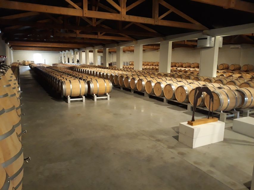 From Bordeaux: Médoc Vineyard and Chateau Tour by Sidecar - Value and Price: Is $235 Worth It?