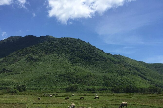 HAI VAN PASS MOTORBIKE TOUR - Top Gear Experience - Start Strong: Pickup, English-Speaking Rider, and Gear That Makes It Easier
