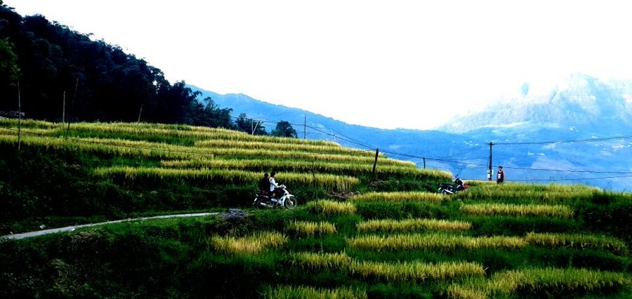 Sa Pa: Guided Motorbike Tour to Ethnic Villages with Lunch - Safety and fit: who this tour works for (and who should skip it)