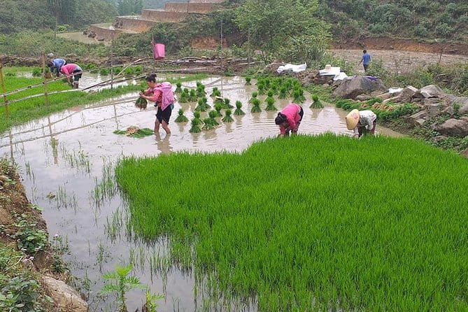 Sapa Adventure Motorbike Tour With Local Guide - O Quy Ho Mountain Pass: big-road drama plus water-and-farming stories