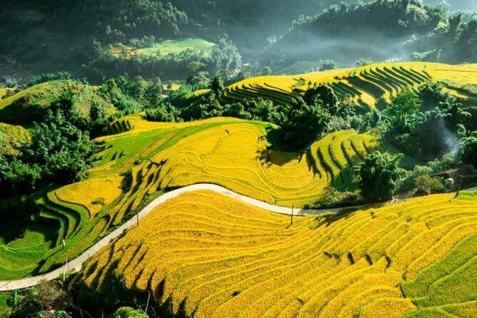 Sapa Adventure Motorbike Tour With Local Guide - Shin Chai terraced rice fields and village drives that feel personal