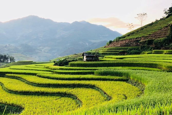 Sapa Adventure Motorbike Tour With Local Guide - Muong Hoa Valley: stream time, optional swim, and cornfield views