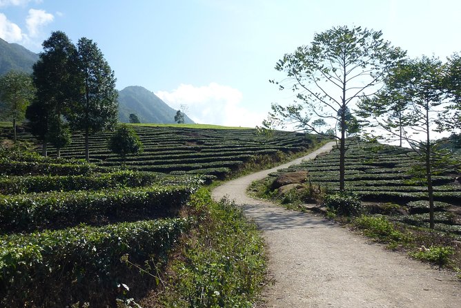 Sapa Full Day Motorbike Tour - Stop 2: Trạm Tôn short walk with the Golden Stream and Love Waterfall