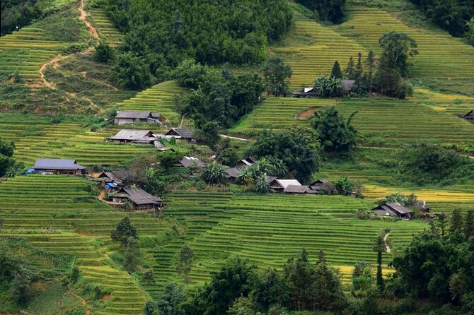 Sapa Half Day Private Car or Motorbike Customized Scenic Tour - Price and value for $40.49 per person