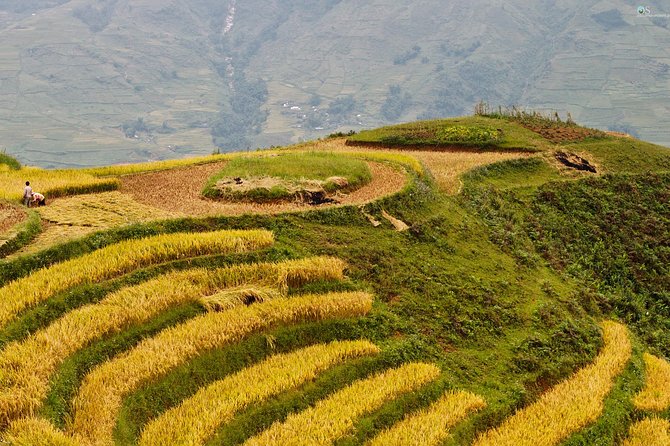 Sapa Motorbike Tour 1 Day| See All Of Rice Fields & Valleys in One Day - Y Linh Ho Viewpoints and the Black Hmong Rice-Paddy Look