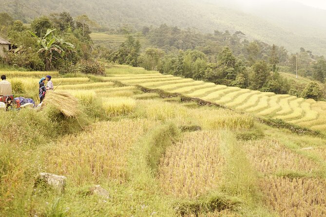 Sapa Motorbike Tour to Dragon Waterfall and Hidden Village - Stop 4: Sàng Ma Sáo Commune and a second look at rural Sapa