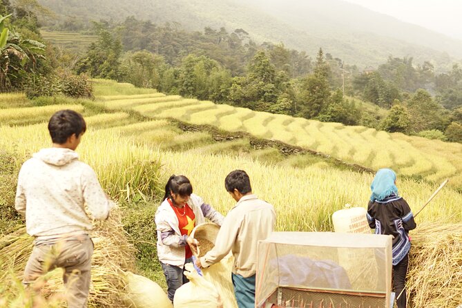Sapa Motorbike Tour to Dragon Waterfall and Hidden Village - Stop 5: Dragon Waterfall (Bach Long) and the included 2 hours that matter