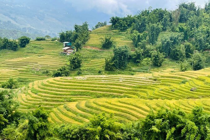 Sapa Motorbike Tour With Local Guide 1 Day - Waterfalls, Villages - Muong Hoa Valley: terraces, seven villages, and real village rhythm