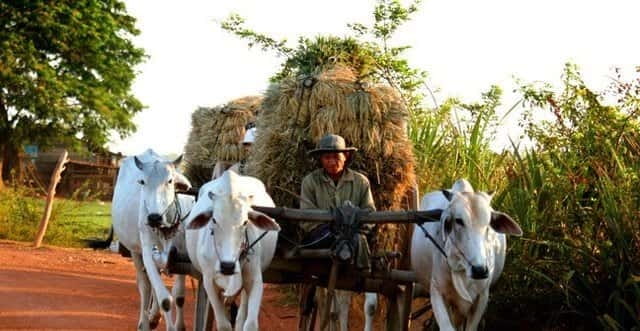 Siem Reap: 3-Hour Ancient Trails Motorbike Tour - The timing: 3 hours with short transfers and a real safety briefing
