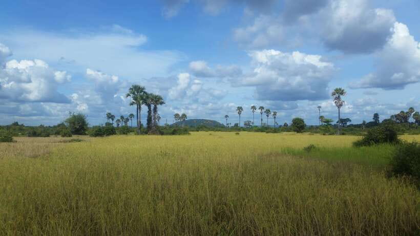 Siem Reap: 3-Hour Ancient Trails Motorbike Tour - Stop-by-stop: villages, Pradak market, a 1,000-year bridge, and a monk at a pagoda
