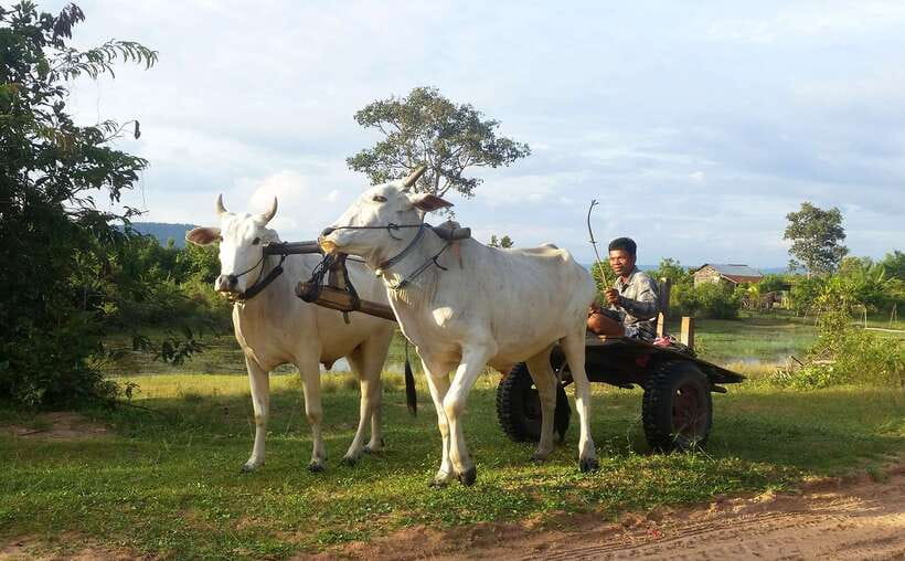 Siem Reap: 6-Hour Easy Rider Motorbike Tour - The 1,000-Year-Old Angkor Bridge Moment