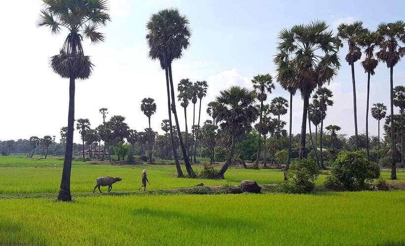 Siem Reap: 6-Hour Easy Rider Motorbike Tour - Price, Time, and What You Actually Get for $62