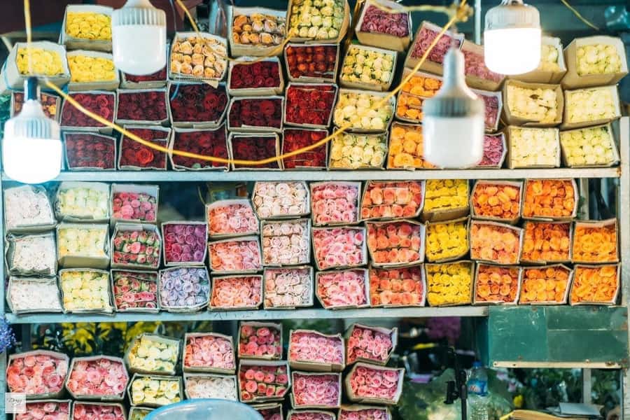 Visit 5 Districts & The Hidden Gems In Saigon By Motorbike - The Guide Style That Makes It Feel Like Saigon, Not Just Stops